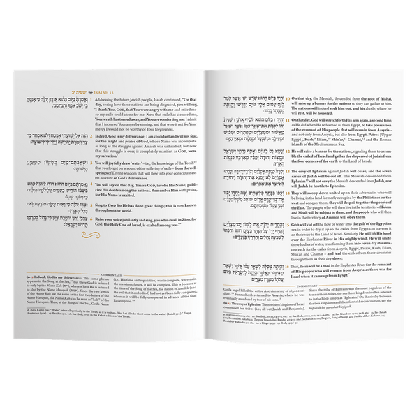 Achron shel Pesach Shul Haftarah Companion